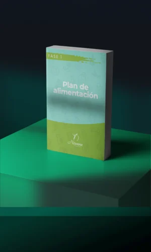 Plan de alimentación Fase I